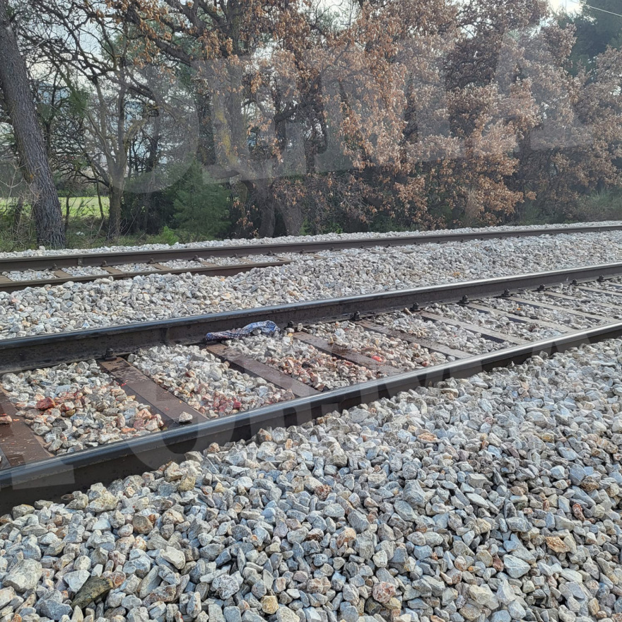 kryoneri-treno__5_