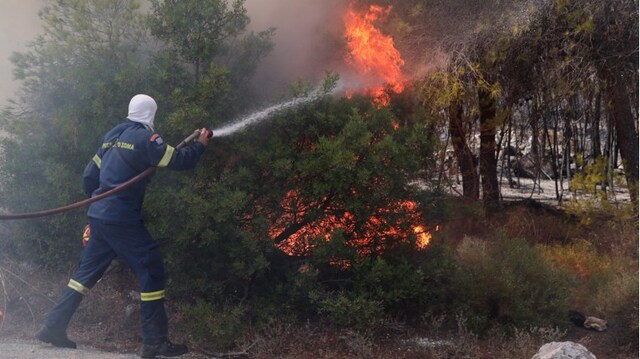 Φωτιές στην Κερατέα: Συνελήφθη 43χρονη για εμπρησμό από πρόθεση κατ' εξακολούθηση