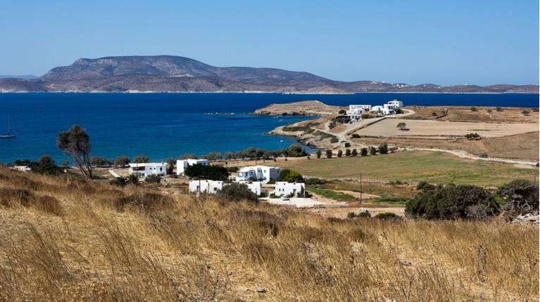 Νέα έρευνα σε βάρος της εφοπλιστικής οικογένειας Παπαδημητρίου για αρχαιοκαπηλία - Εκαναν έφοδο στο σπίτι τους