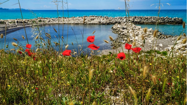Καιρός: Ζέστη και αφρικανική σκόνη σήμερα - Πότε έρχεται η "ψυχρή λίμνη", τι λένε οι μετεωρολόγοι