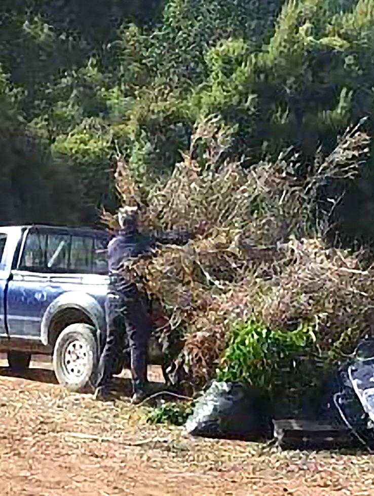 Πάμε πάλι!!! Ο κ. Λίτσας πρώτα πετάει κλαδιά και απορρίμματα και μετά όλοι μαζί καταγγέλλουν