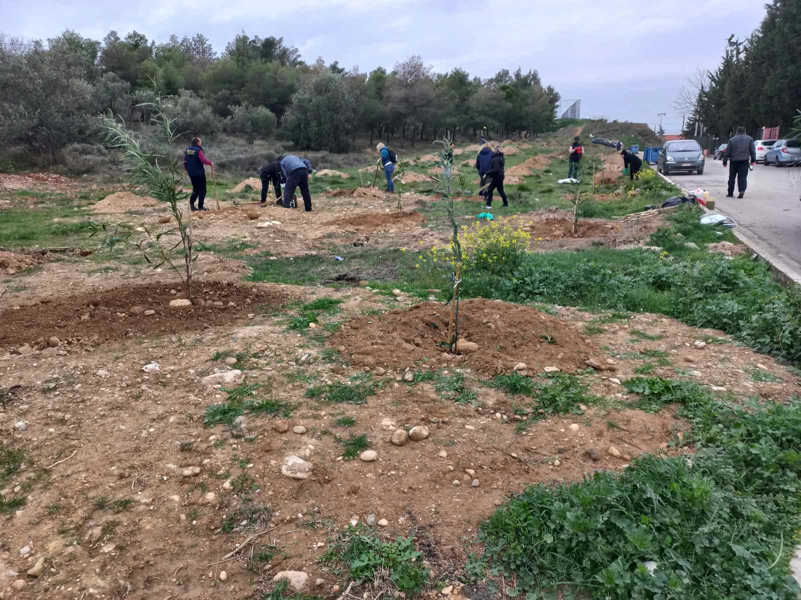 Μια ακόμη δενδροφύτευση στο Γεροβουνό, στην περιοχή της Αγίας Άννας