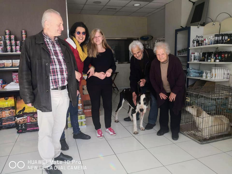 Η Οδύσσεια του Άργους: Σκύλος βρέθηκε στη Σφενδάλη Μαλακάσας και παραδόθηκε από την επιτροπή αδέσποτων του Δήμου Ωρωπού στους ιδιοκτήτες του