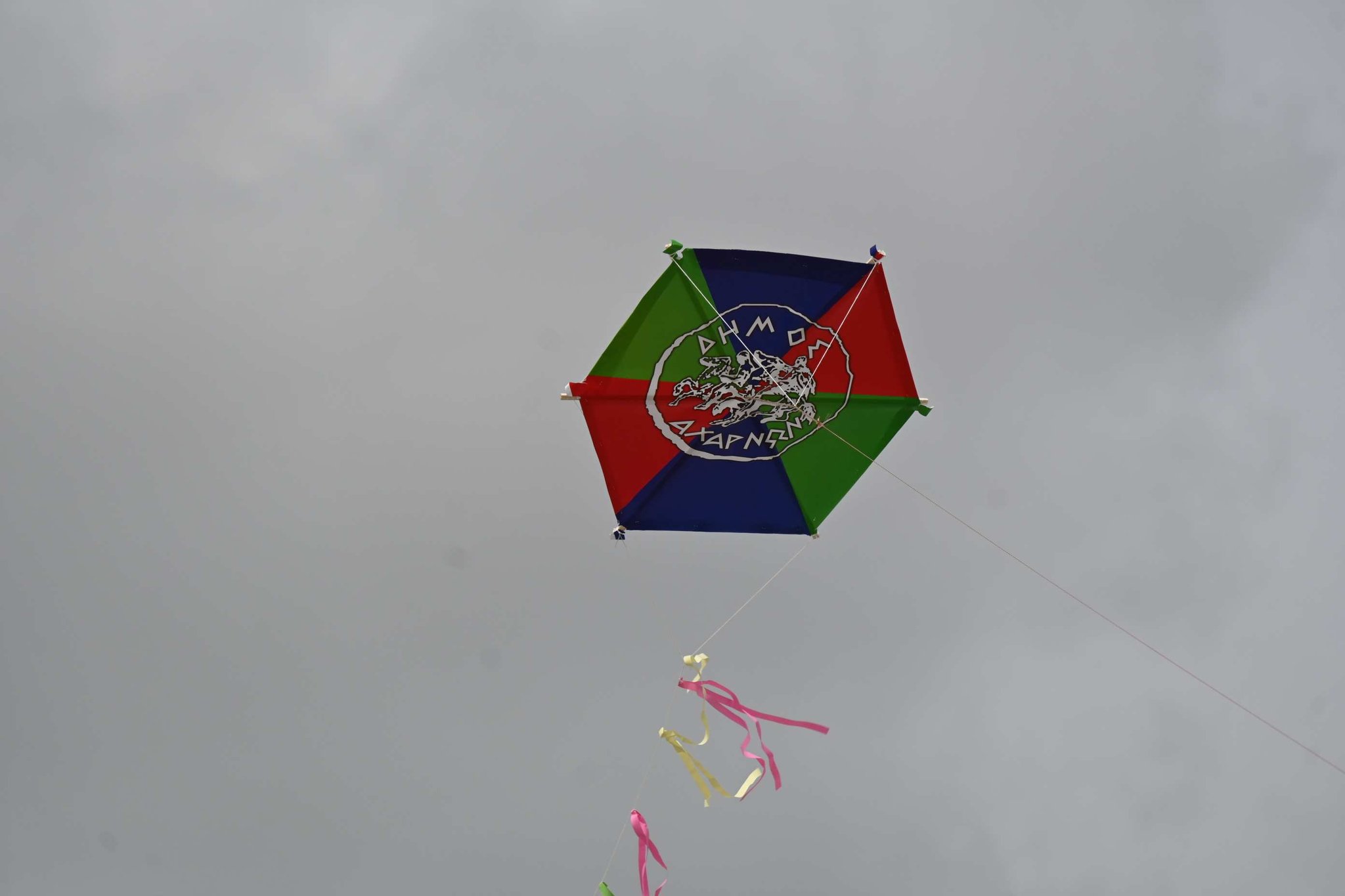 333010592_1143827749569381_4964818724171141043_n_7d73a.jpg