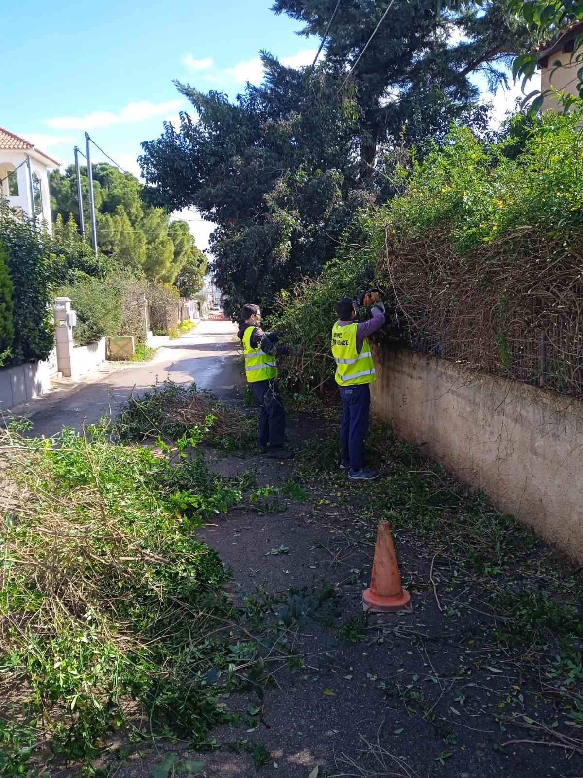 Αποψιλώσεις, δενδροφυτεύσεις, κοπές επικίνδυνων κλαδιών και αποκομιδές κλαδευτικών υπολειμμάτων από τα συνεργεία της Υπηρεσίας Πρασίνου Δήμου Μαραθώνος από 1/3-14/3