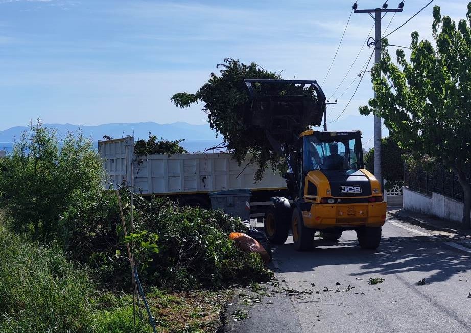 Αποκομιδές κλαδιών και απορριμμάτων εβδομάδας 24-28/4 από τα συνεργεία της Υπηρεσίας Καθαριότητας Δήμου Μαραθώνος