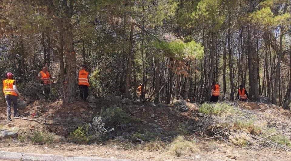 Δήλωση του Δημάρχου Διονύσου Γιάννη Καλαφατέλη ενόψει της αντιπυρικής περιόδου που ξεκίνησε την 1η Μαΐου 2023