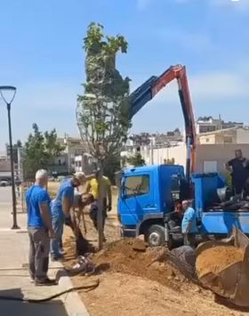 Δεντροφύτευση στο Πρότυπο Πάρκο Λαθέας από τη Διεύθυνση Πρασίνου του Δήμου Αχαρνών