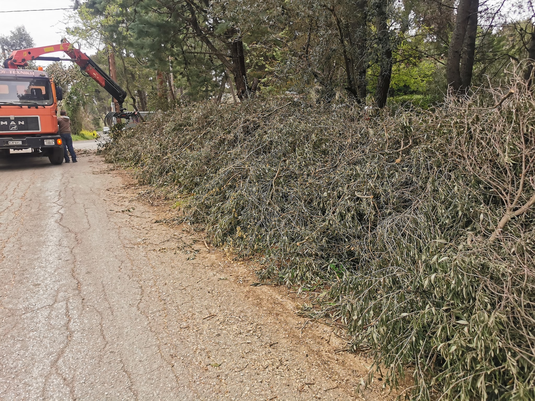 Διευκρινίσεις σχετικά με την εναπόθεση μεγάλων όγκων κλαδεμάτων και υπολειμμάτων καθαρισμών