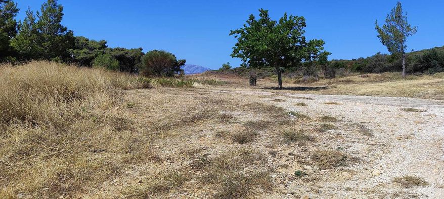 Επεμβάσεις αποψιλώσεων  στο ορεινό τμήμα του πεντελικού όρους στα σύνορα του δήμου Ραφήνας - Πικερμίου, με το δήμο Πεντέλης