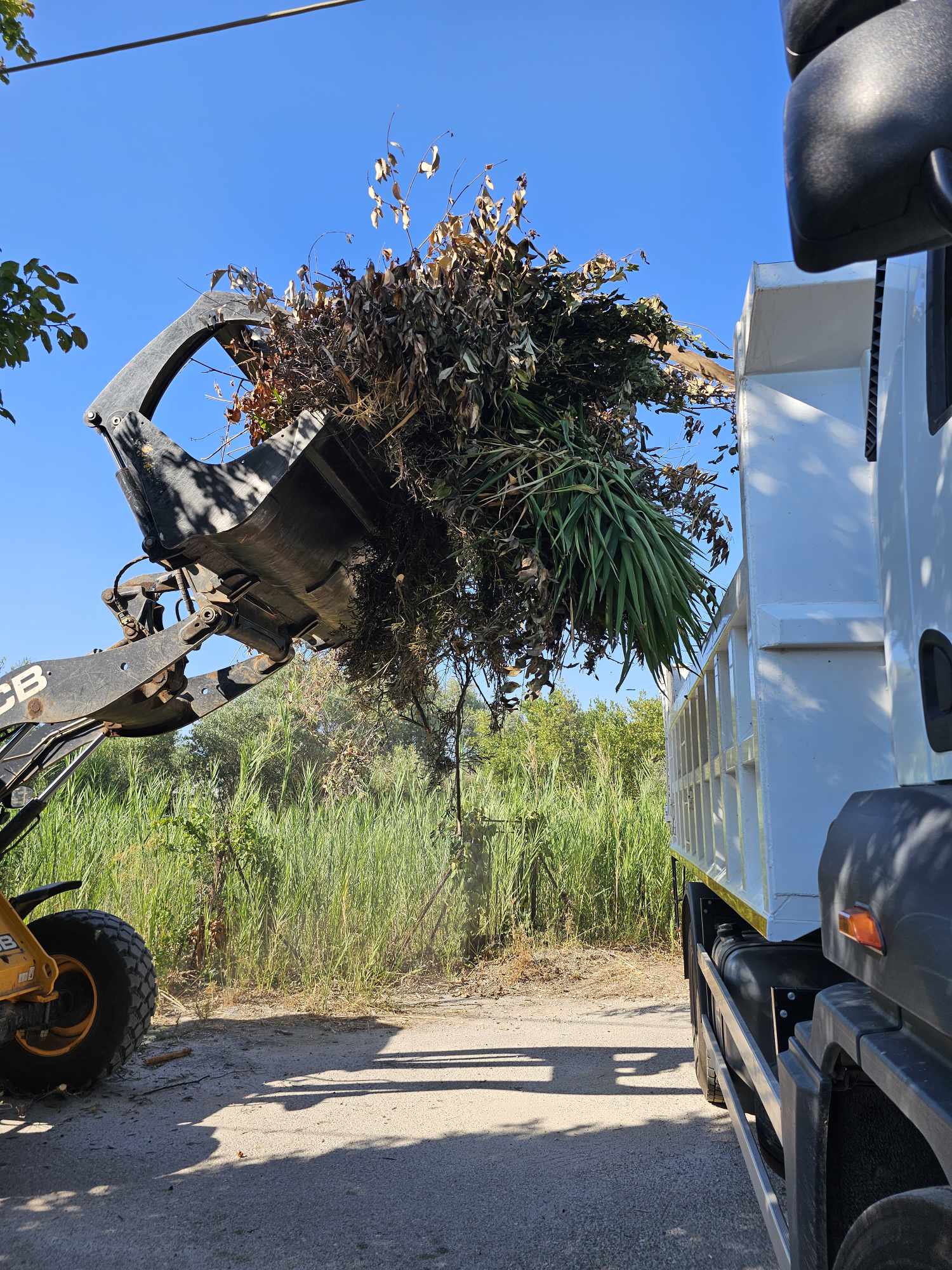  Αποκομιδές κλαδευτικών υπολειμμάτων και απορριμμάτων  εβδομάδας 31/7-5/8 από τα συνεργεία της Υπηρεσίας Καθαριότητας Δήμου Μαραθώνος
