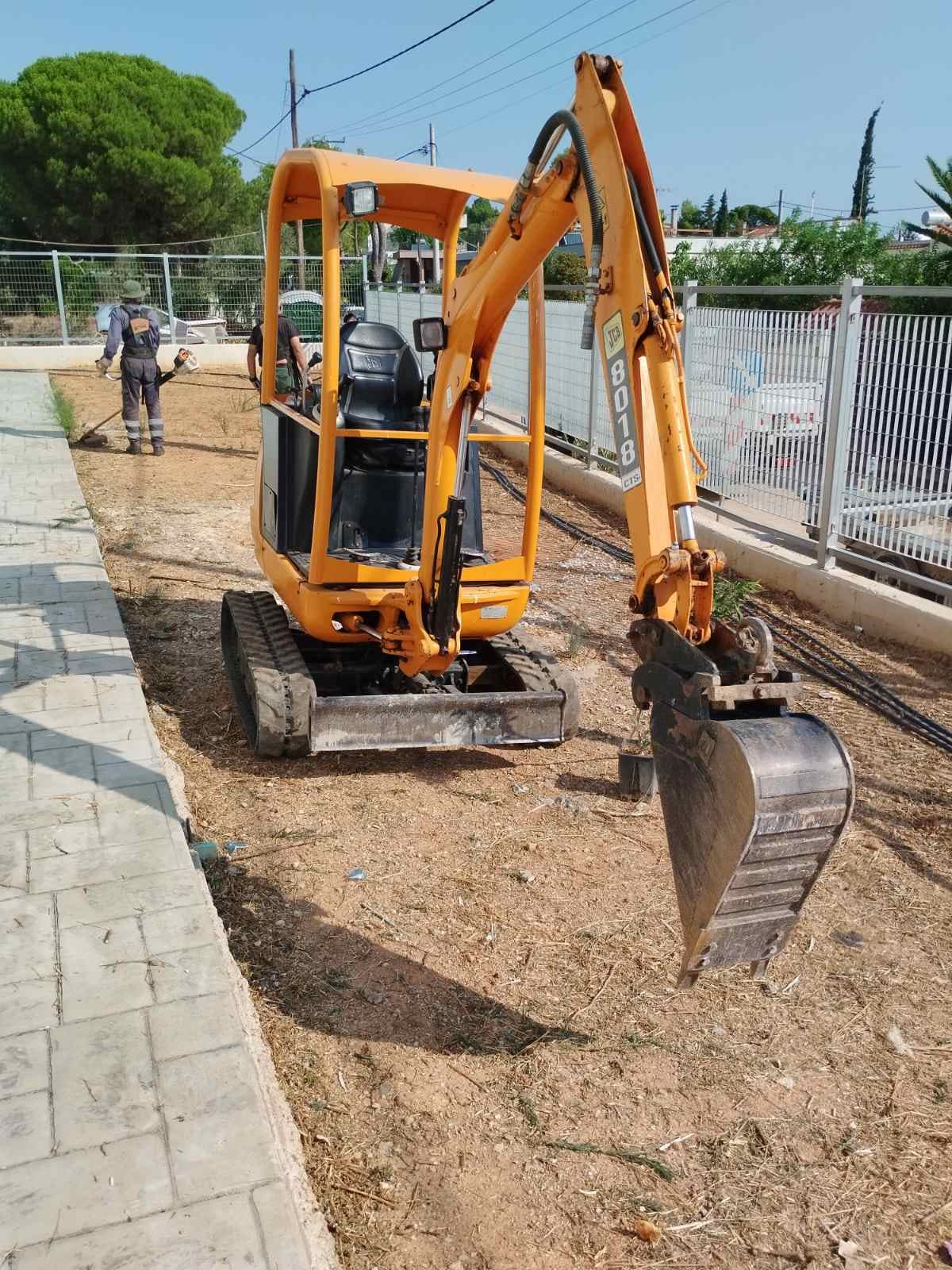 Φυτεύσεις, αποψιλώσεις και περισυλλογή κλαδευτικών υπολειμμάτων από τα συνεργεία της Υπηρεσίας Πρασίνου Δήμου Μαραθώνος