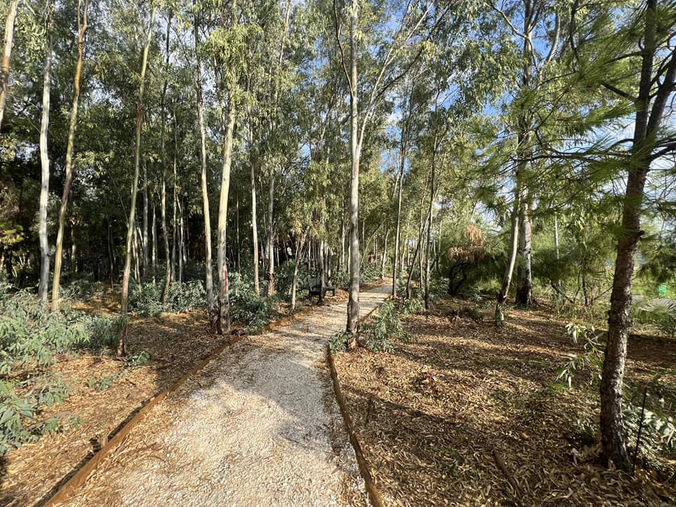 Ολοκληρώνεται το Πάρκο Δρομέων στον παραλιακό πεζόδρομο της Νέας Μάκρης