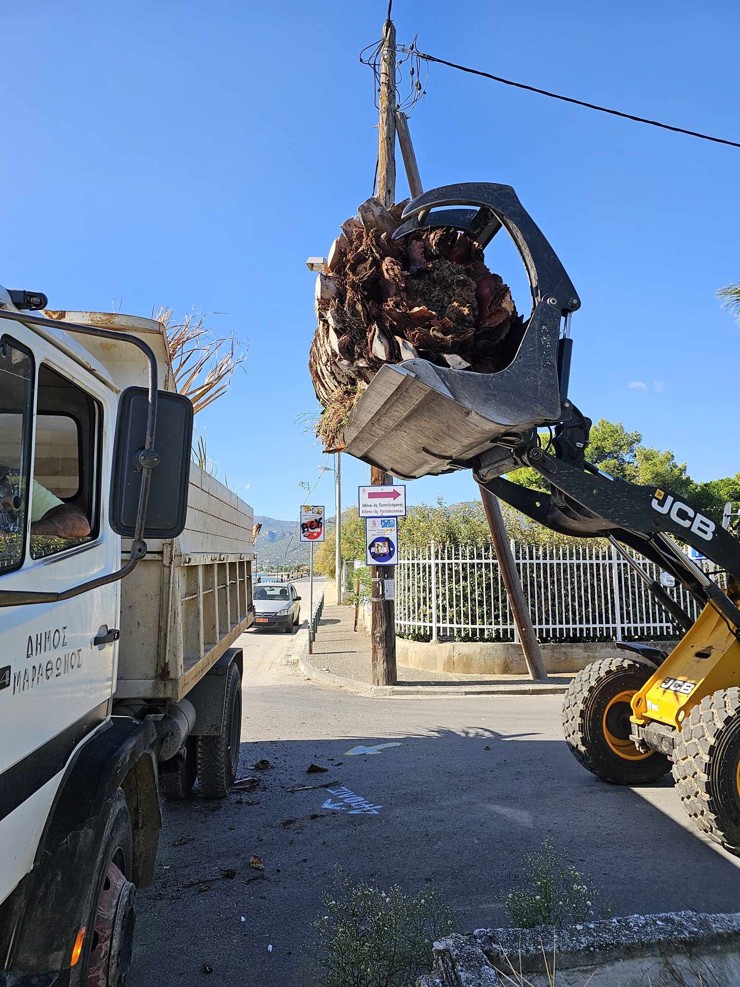 Αποκομιδές κλαδιών και απορριμμάτων εβδομάδας 9-14/10 από τα συνεργεία της Υπηρεσίας Καθαριότητας Δήμου Μαραθώνος