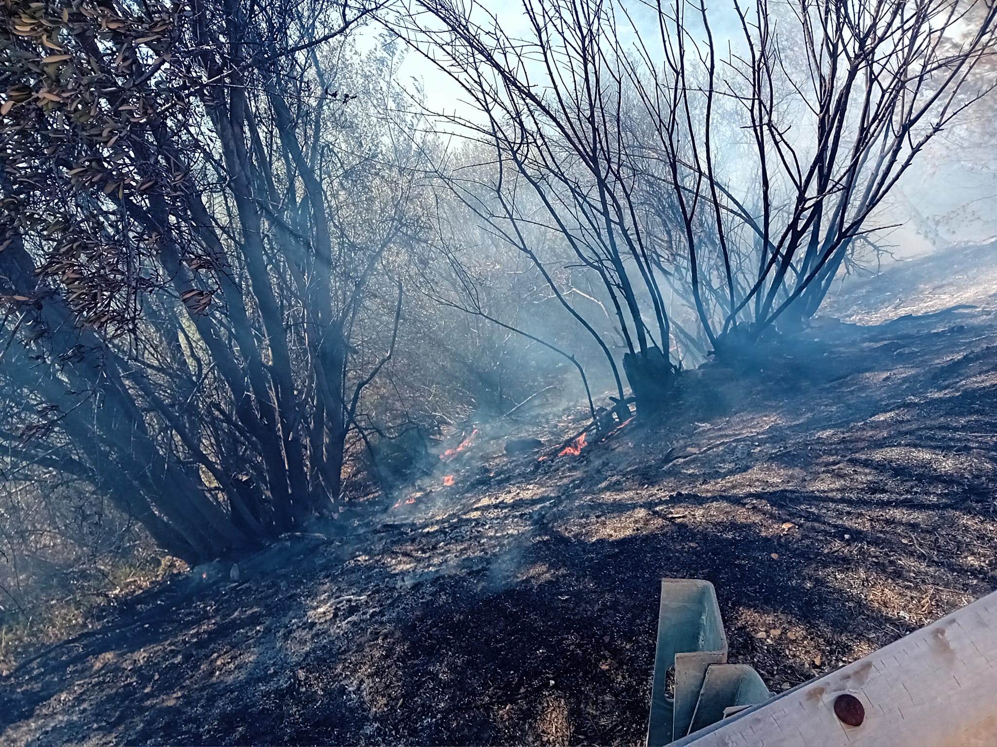 Οριοθετήθηκε με την άμεση επέμβαση πυροσβεστικών δυνάμεων η φωτιά στο δρόμο Λίμνης Μαραθώνα προς Καλέντζι 