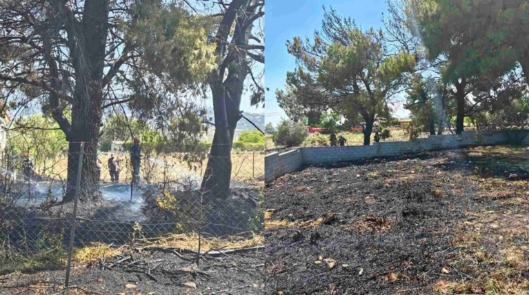 Συνελήφθη 89χρονος για τη φωτιά στο Κρυονέρι - Θα πληρώσει πρόστιμο μεγαλύτερο των 2,5 χιλιάδων ευρώ