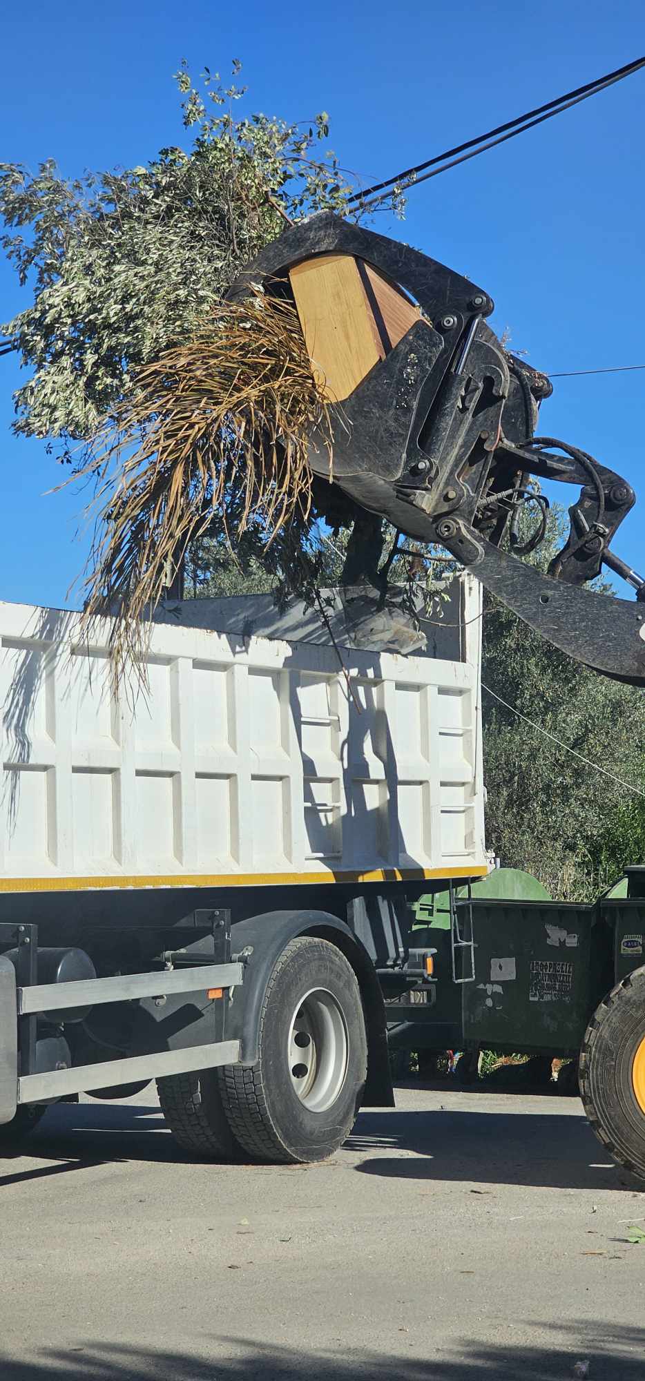 Αποκομιδές κλαδιών και απορριμμάτων εβδομάδας 13-18/11 από τα συνεργεία της Υπηρεσίας Καθαριότητας Δήμου Μαραθώνος