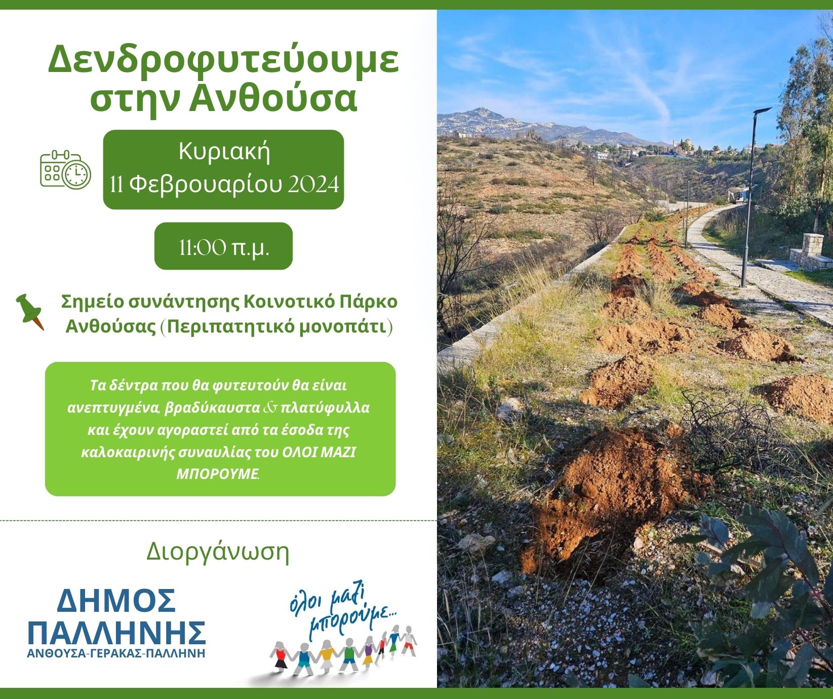 Μεγάλη δράση δενδροφύτευσης στην Ανθούσα, την Κυριακή 11 Φεβρουαρίου 2024