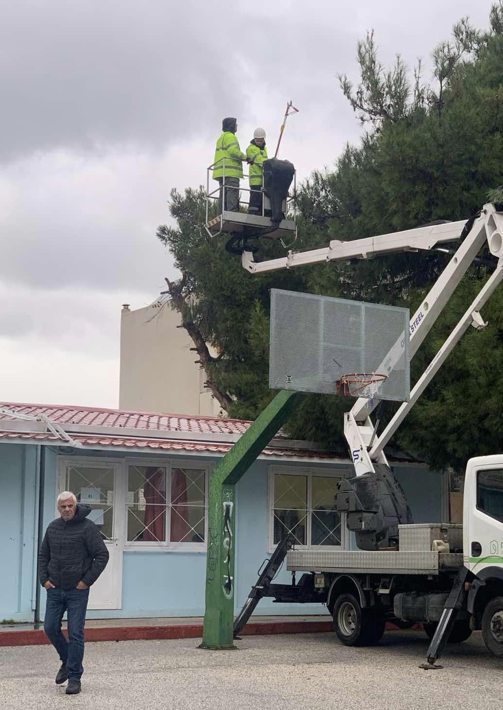 Ξεκίνησε και ολοκληρώνεται ο καθαρισμός των πεύκων στο Δήμο Σπάτων - Αρτέμιδος