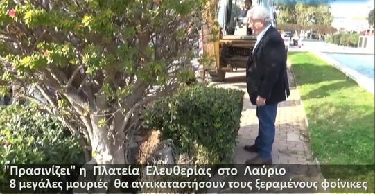 Σε μια αισθητική παρέμβαση με περισσότερο πράσινο προχωρά ο Δήμος Λαυρεωτικής αναβαθμίζοντας την κεντρική πλατεία της πόλης του Λαυρίου