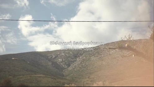 Όλοι μαζί μπορούμε να καταφέρουμε πολλά - 1.000 δενδρύλλια φυτεύθηκαν στους πρόποδες του Πανείου Όρους