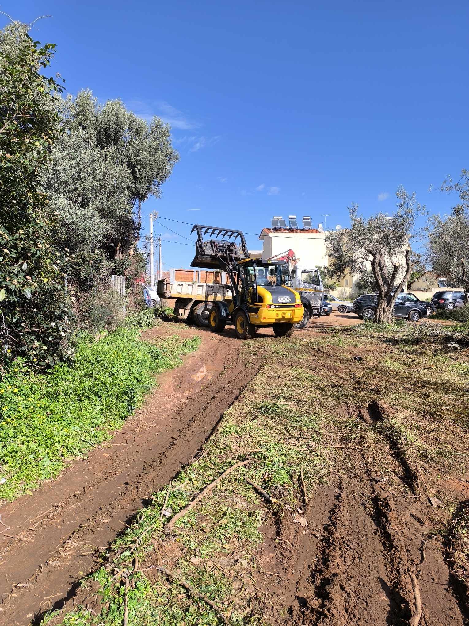Αποκομιδές κλαδιών και απορριμμάτων εβδομάδας 4/3 - 9/3 από την Υπηρεσία Καθαριότητας Δήμου Μαραθώνος