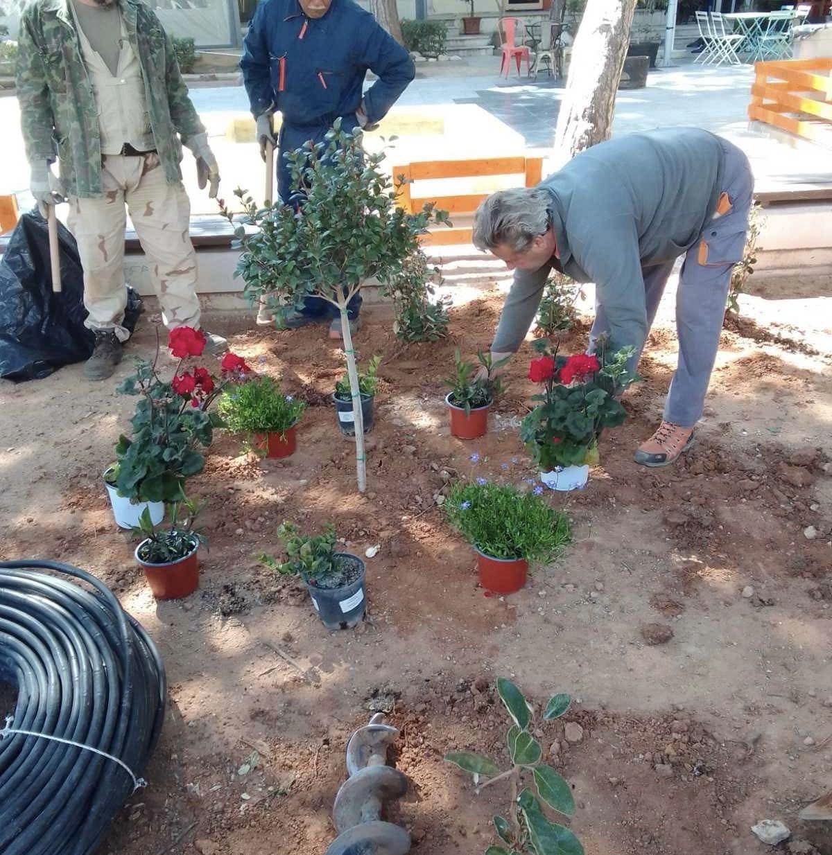 Εργασίες συντήρησης, καθαρισμού, και καλλωπισμού των κοινόχρηστων χωρών στα Σπάτα και την Αρτέμιδα
