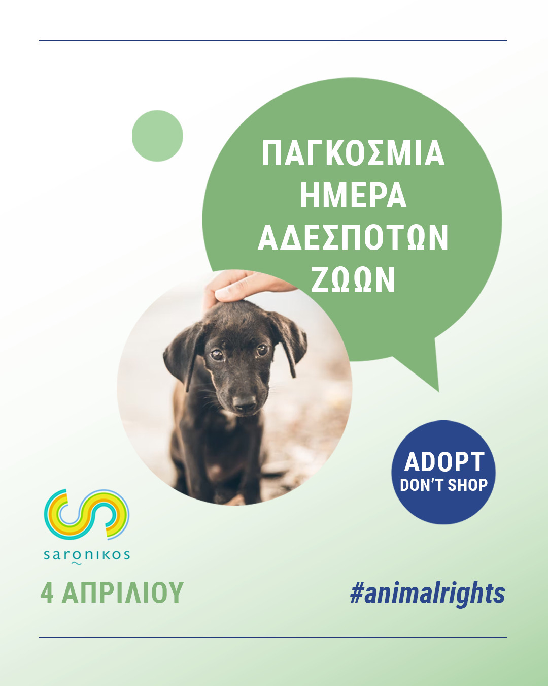 4 Απριλίου: Παγκόσμια Ημέρα Αδέσποτων Ζώων και Πανελλήνια Σχολική Ημέρα Φιλοζωίας στον Δήμο Σαρωνικού 