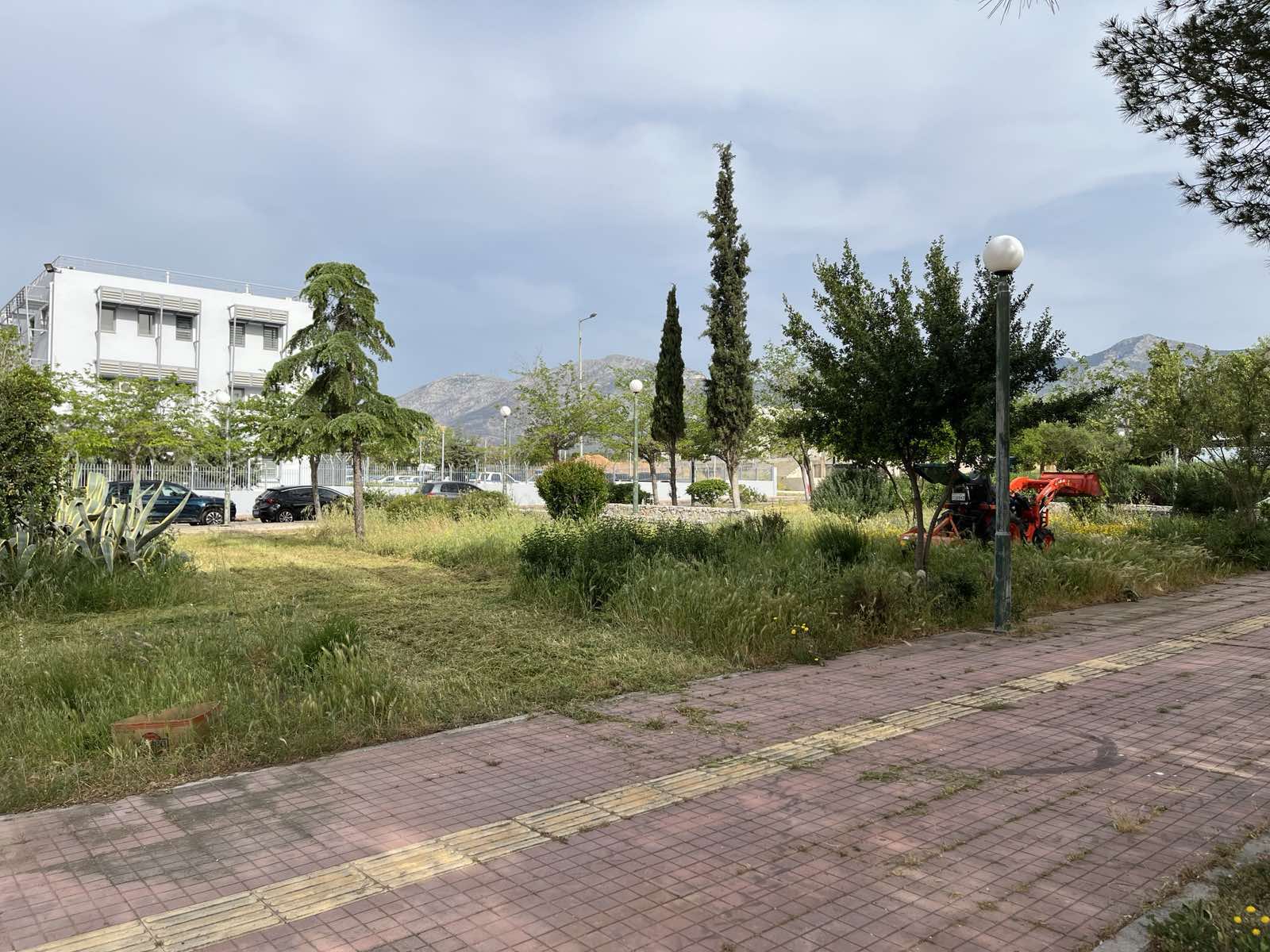 Καθαρισμοί, αποψιλώσεις και κοπές ξερών χόρτων στο Ολυμπιακό Χωριό