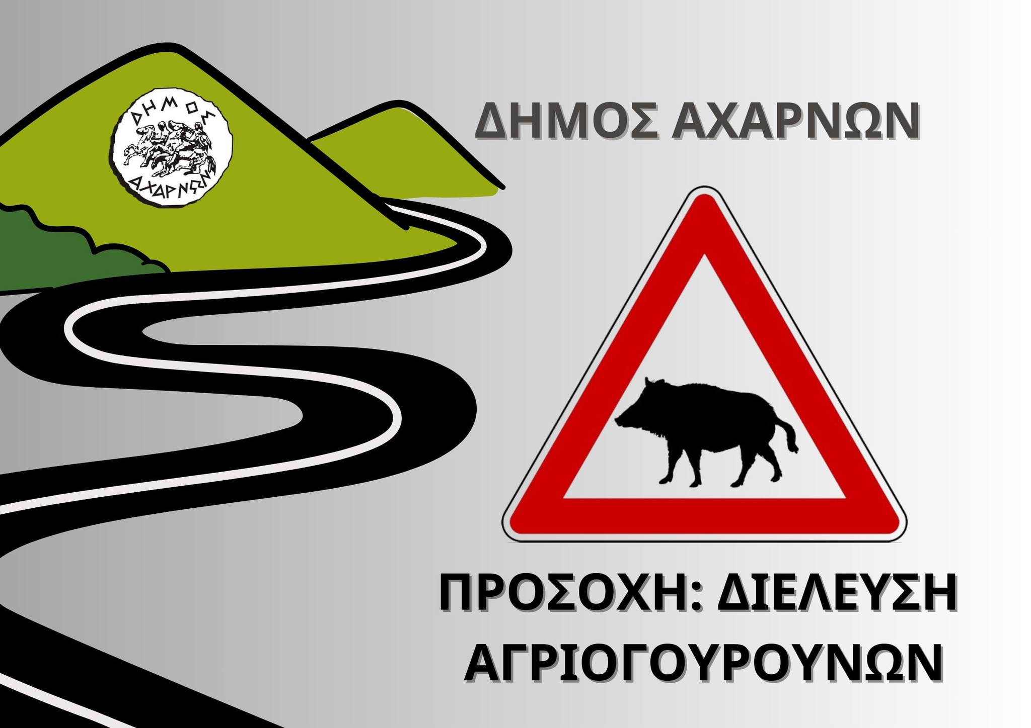 Την προσοχή των δημοτών στο βόρειο τμήμα της πόλης, εφιστά ο Δήμος Αχαρνών λόγω της εμφάνισης αγριογούρουνων