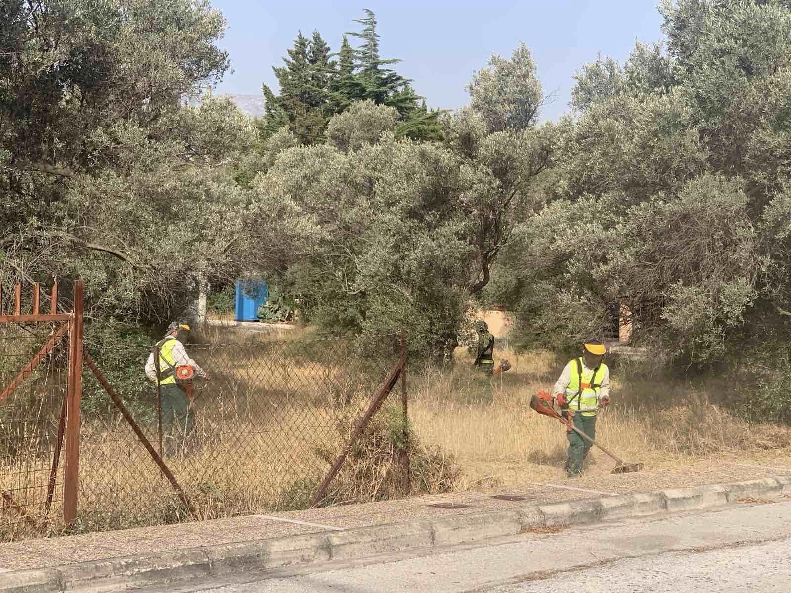 Συνεχίζονται οι εργασίες για τη μείωση του κινδύνου πυρκαγιάς, στο Δήμο Σπάτων Αρτέμιδος