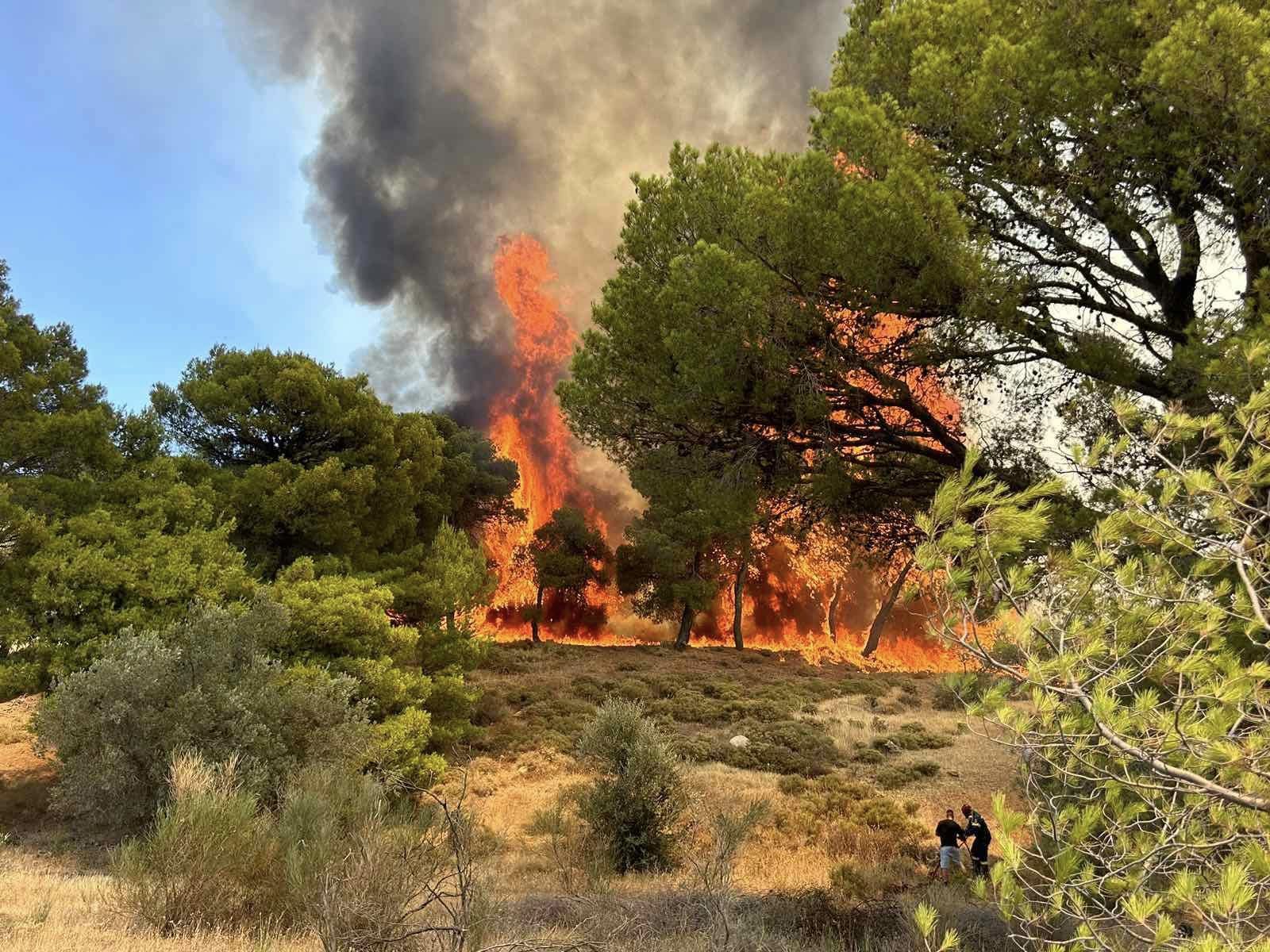 Εκτός ελέγχου η φωτιά στην Κερατέα, καίγονται σπίτια (Συνεχής ανανέωση. Φωτο)