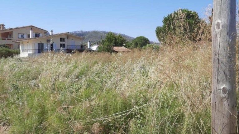 Ακαθάριστα οικόπεδα: Παράταση έως τις 30 Ιουνίου για τις δηλώσεις στην ψηφιακή πλατφόρμα