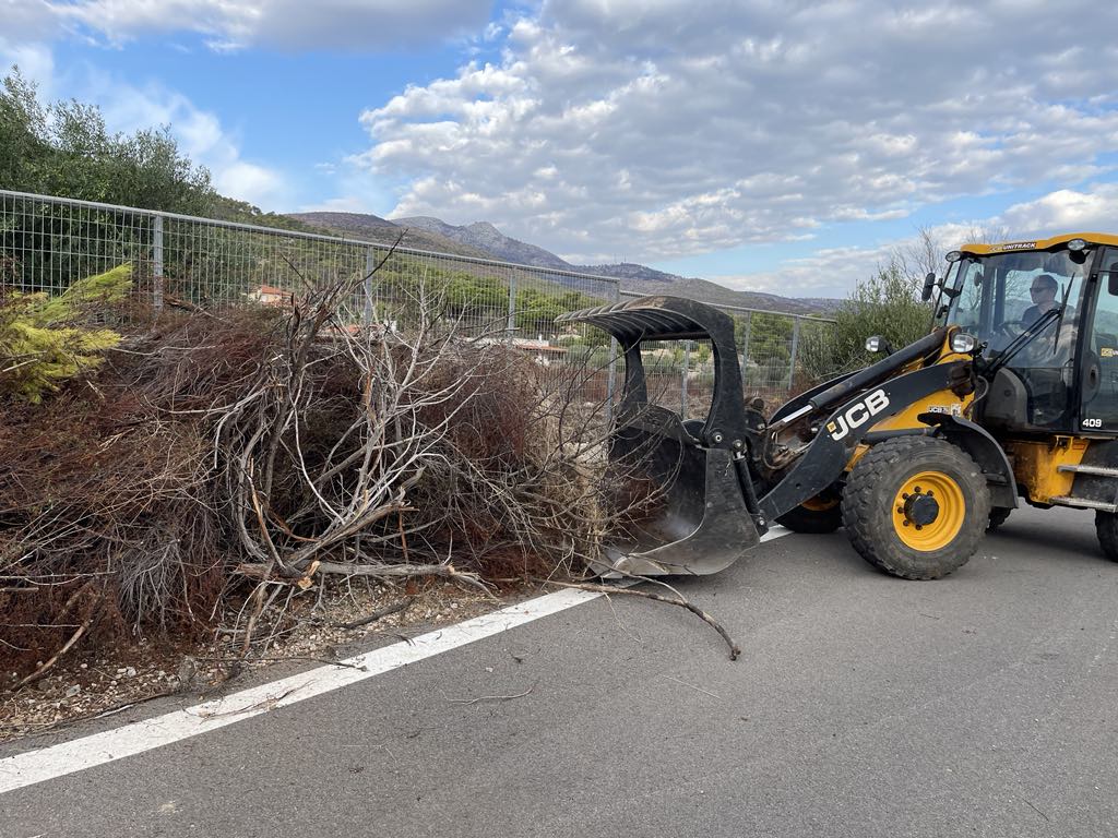 Εντατικές αποκομιδές κλαδιών & απορριμμάτων 19 Σεπτεμβρίου 2024 από την Υπηρεσία Καθαριότητας Δήμου Μαραθώνος