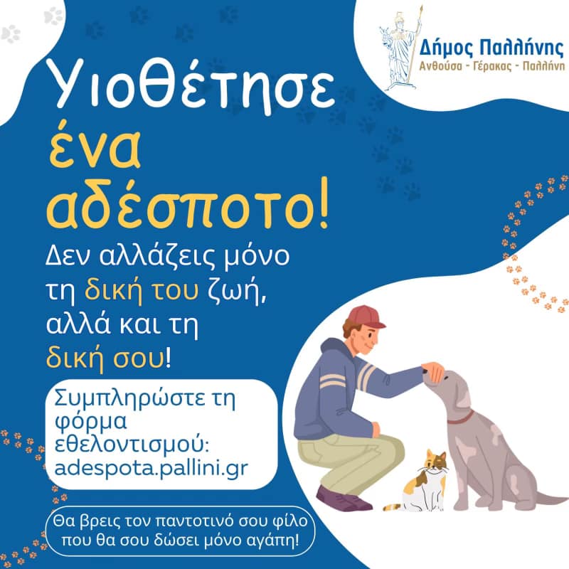  Γίνε και εσύ μέλος στο Δίκτυο Εθελοντών Φιλόζωων του Δήμου Παλλήνης 