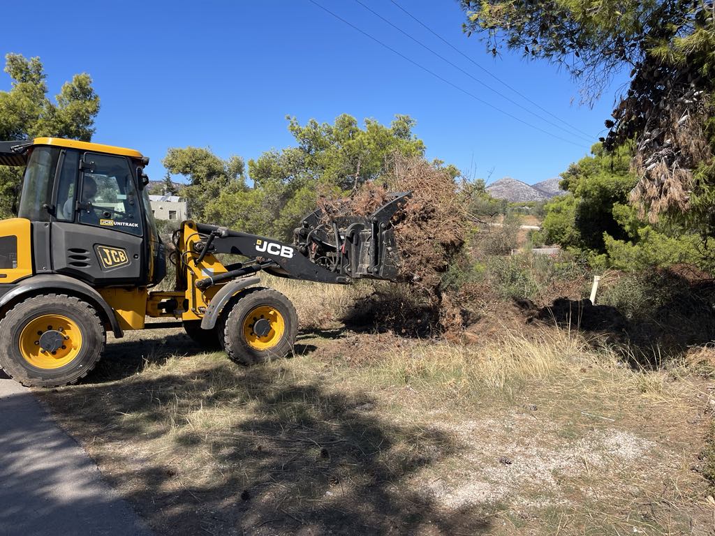 Εντατικές αποκομιδές κλαδιών & απορριμμάτων 3 Οκτωβρίου 2024 από την Υπηρεσία Καθαριότητας Δήμου Μαραθώνος