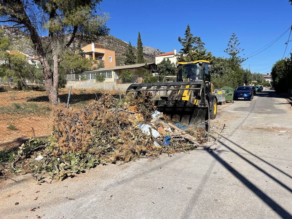 Εντατικές αποκομιδές κλαδιών & απορριμμάτων 8 Οκτωβρίου 2024 από την Υπηρεσία Καθαριότητας Δήμου Μαραθώνος