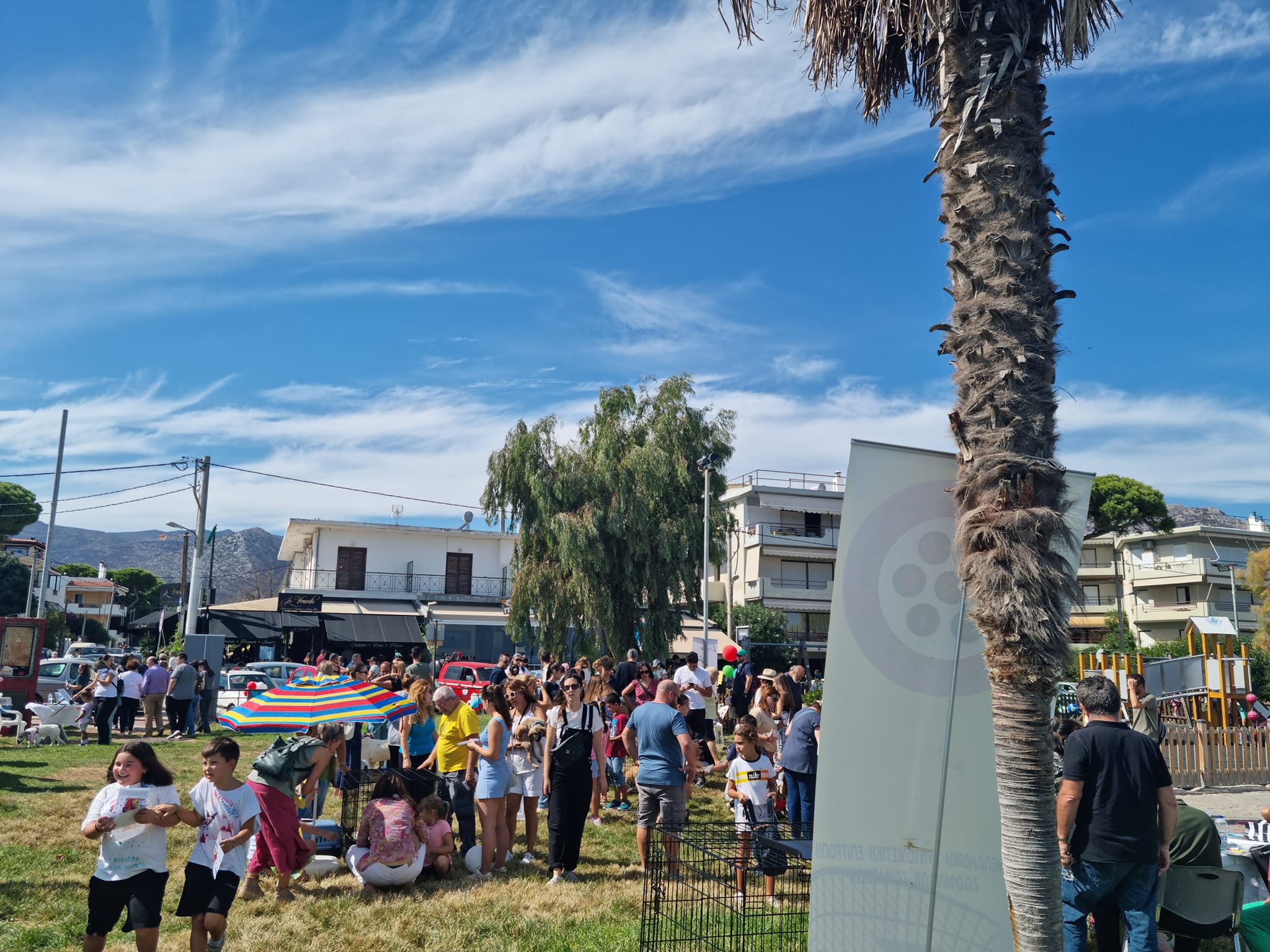 Μεγάλη η ανταπόκριση του κόσμου στη γιορτή φιλοζωίας, στο Λιμάνι της Νέας Μάκρης