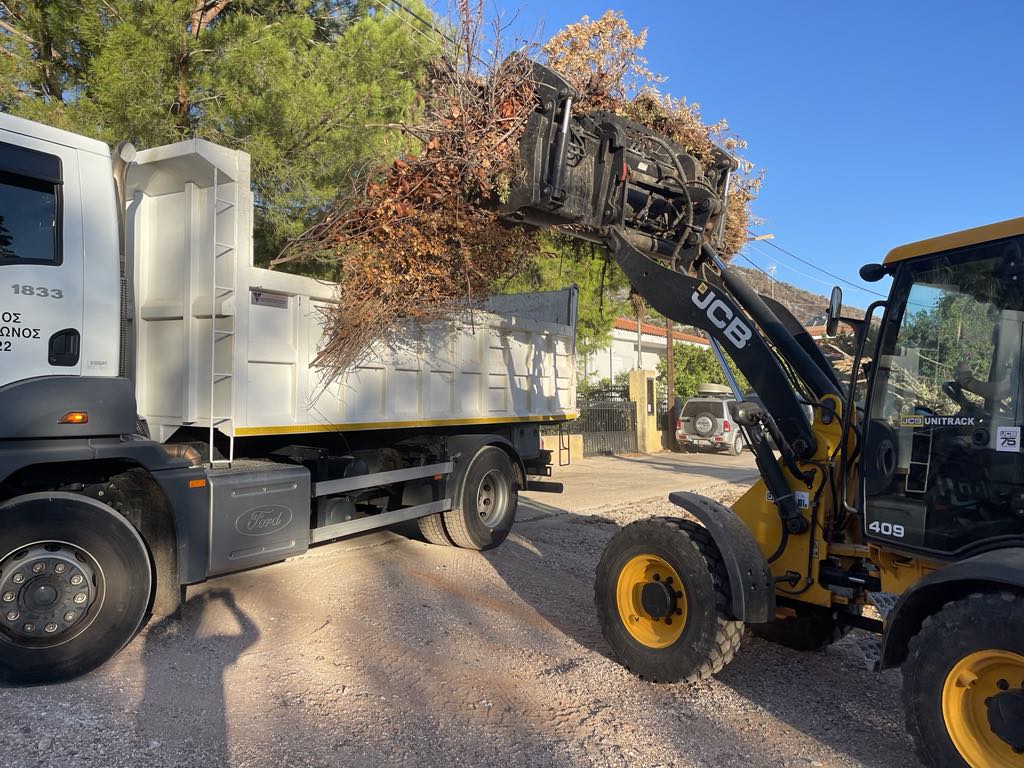 Εντατικές αποκομιδές κλαδιών & απορριμμάτων 9 Οκτωβρίου 2024 από την Υπηρεσία Καθαριότητας Δήμου Μαραθώνος