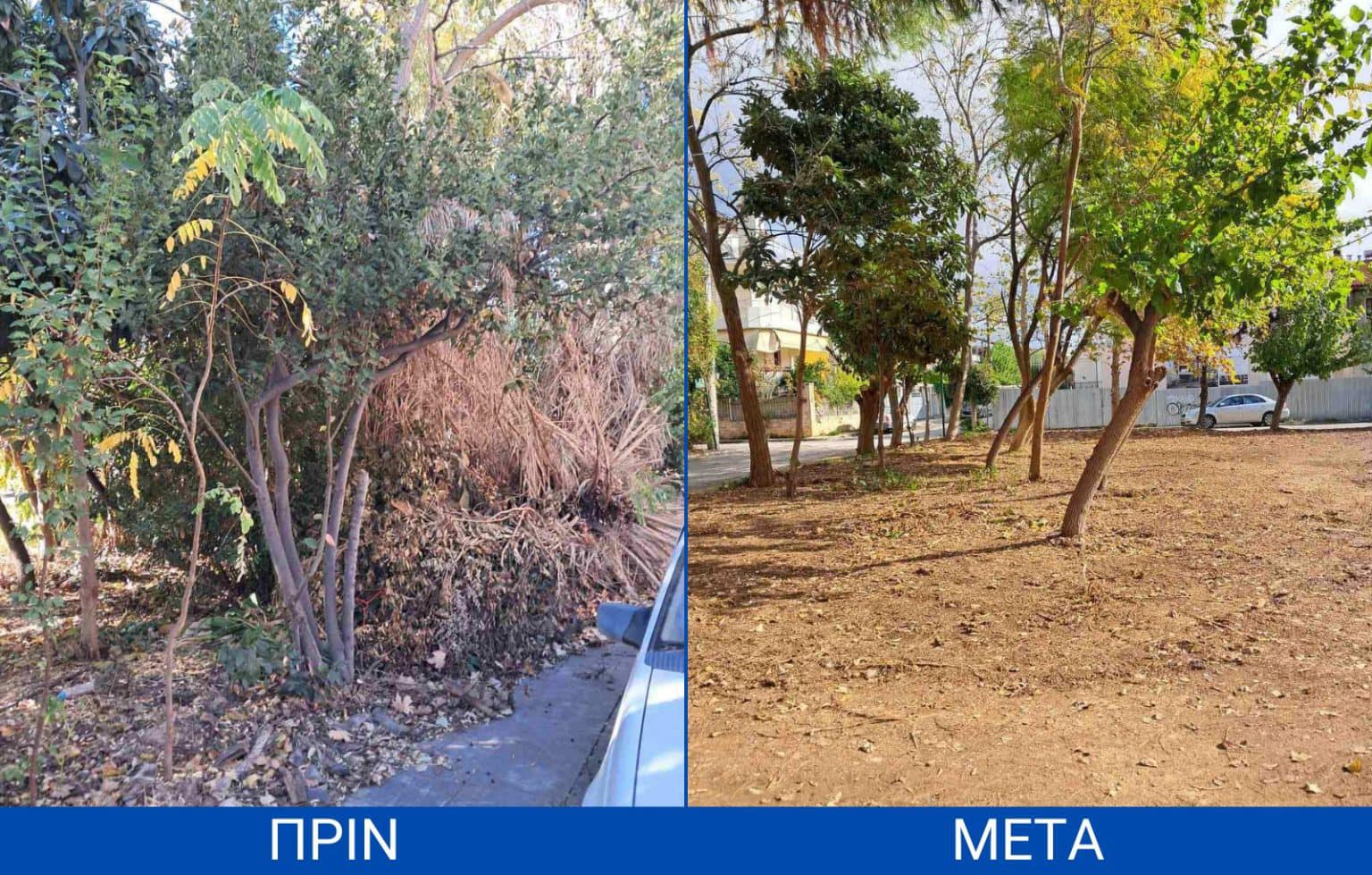 Καθαρισμό και καλλωπισμό πάρκου στο Γέρακα πραγματοποίησαν συνεργεία του Δήμου Παλλήνης