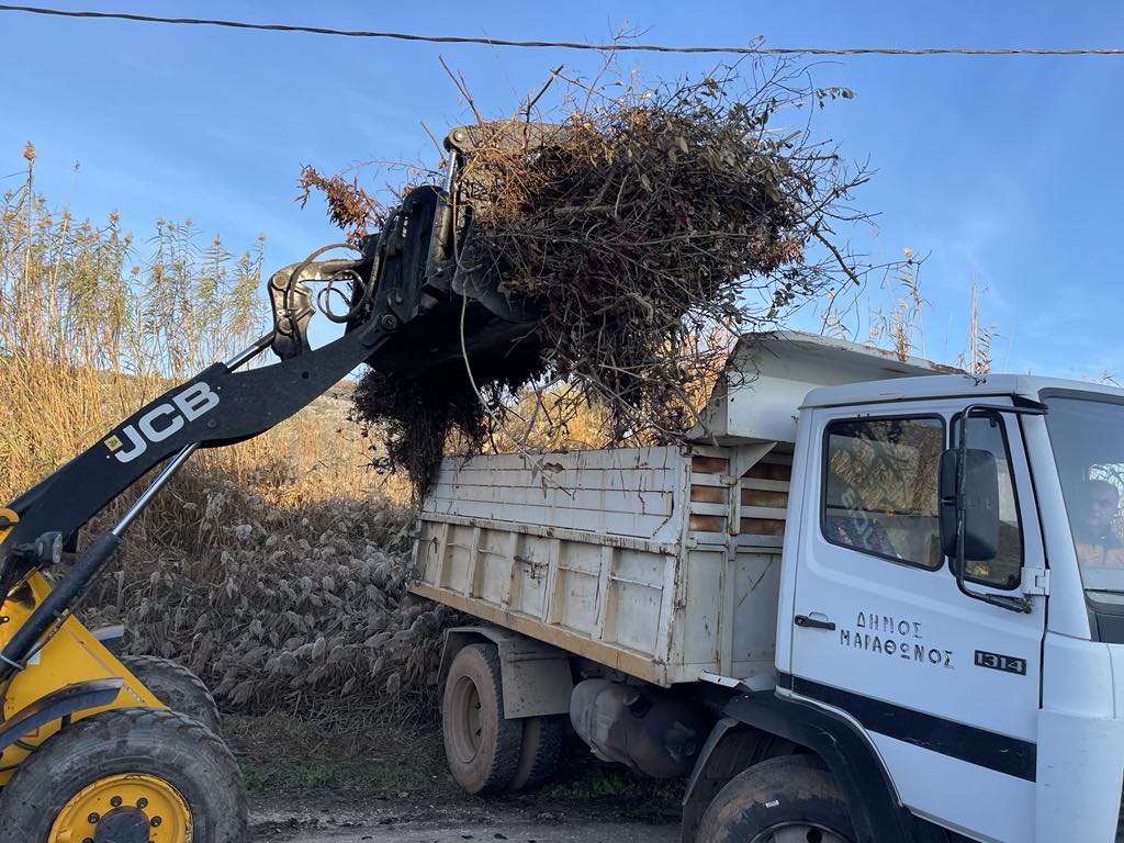 Εντατικές αποκομιδές κλαδιών 19 Δεκεμβρίου 2024 από την Υπηρεσία Καθαριότητας Δήμου Μαραθώνος