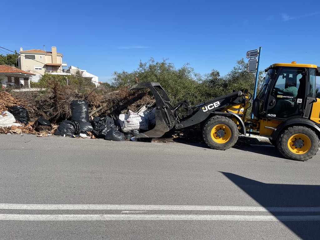 Εντατικές αποκομιδές κλαδιών 23 Ιανουαρίου 2025 από την Υπηρεσία Καθαριότητας Δήμου Μαραθώνος