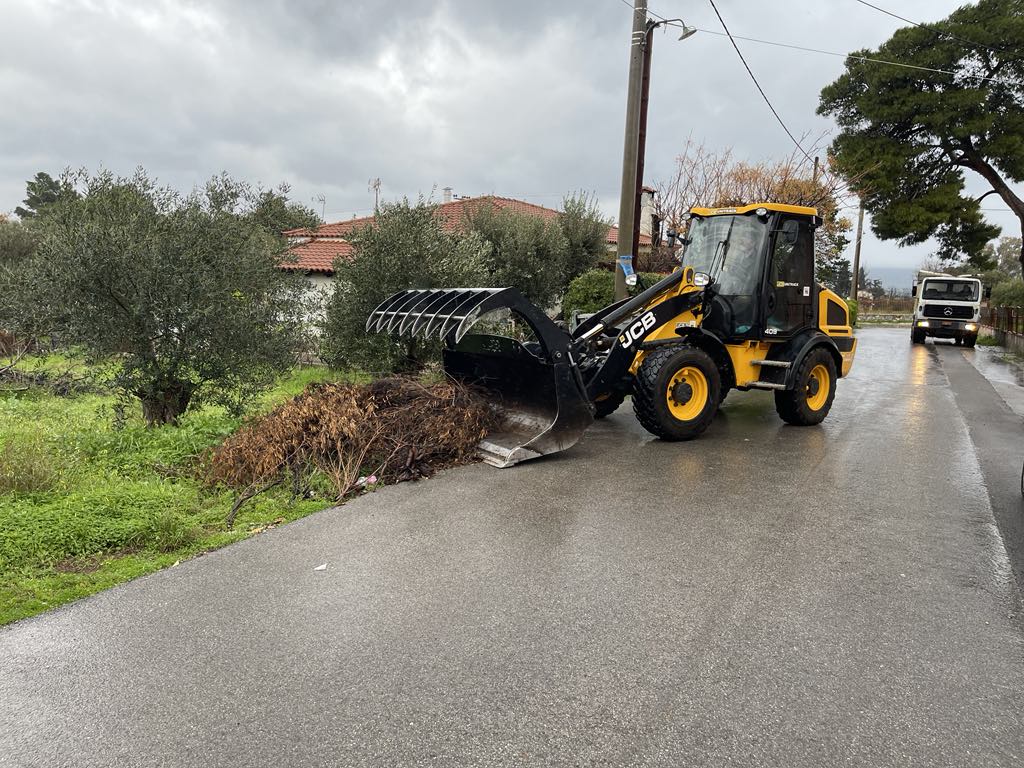Εντατικές αποκομιδές κλαδιών 4 Φεβρουαρίου 2025 από την Υπηρεσία Καθαριότητας Δήμου Μαραθώνος