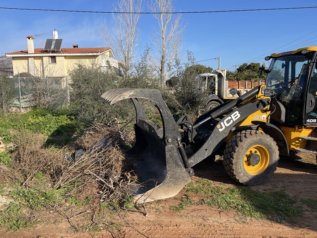 Εντατικές αποκομιδές κλαδιών 13 Φεβρουαρίου 2025 από την Υπηρεσία Καθαριότητας Δήμου Μαραθώνος