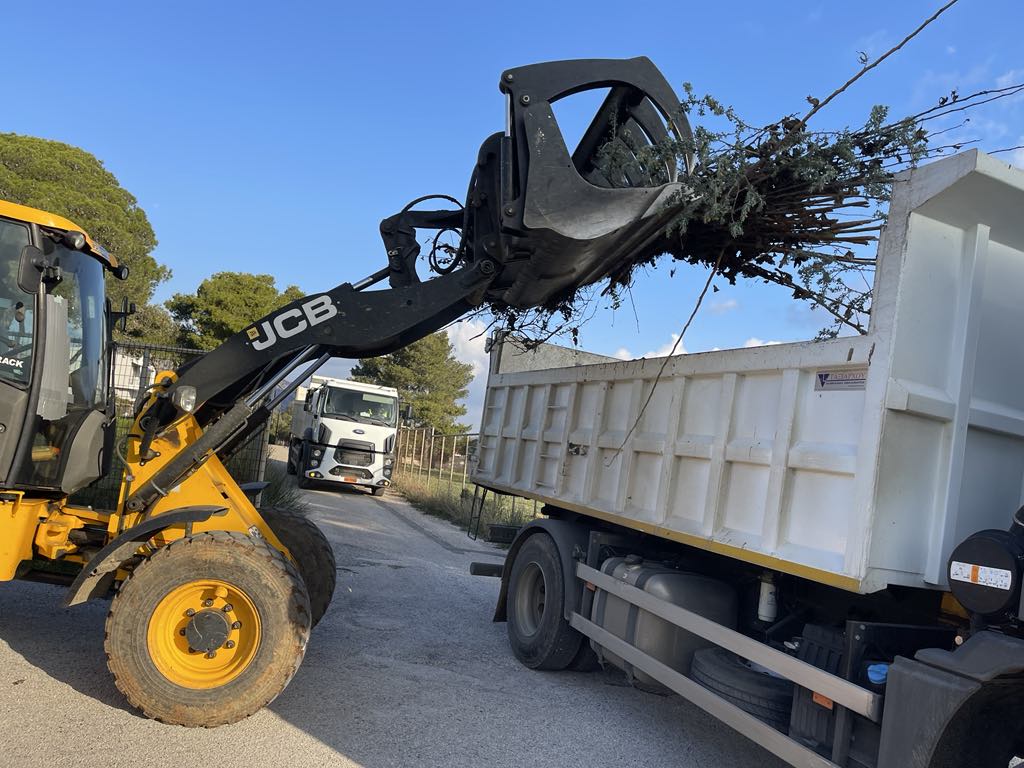 Εντατικές αποκομιδές κλαδιών 12 Φεβρουαρίου 2025 από την Υπηρεσία Καθαριότητας Δήμου Μαραθώνος