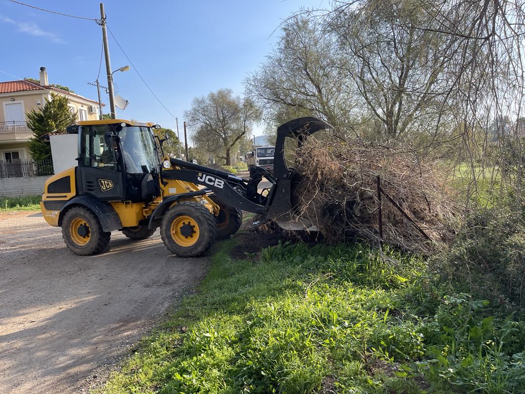 Εντατικές αποκομιδές κλαδιών 26 Φεβρουαρίου 2025 από την Υπηρεσία Καθαριότητας Δήμου Μαραθώνος