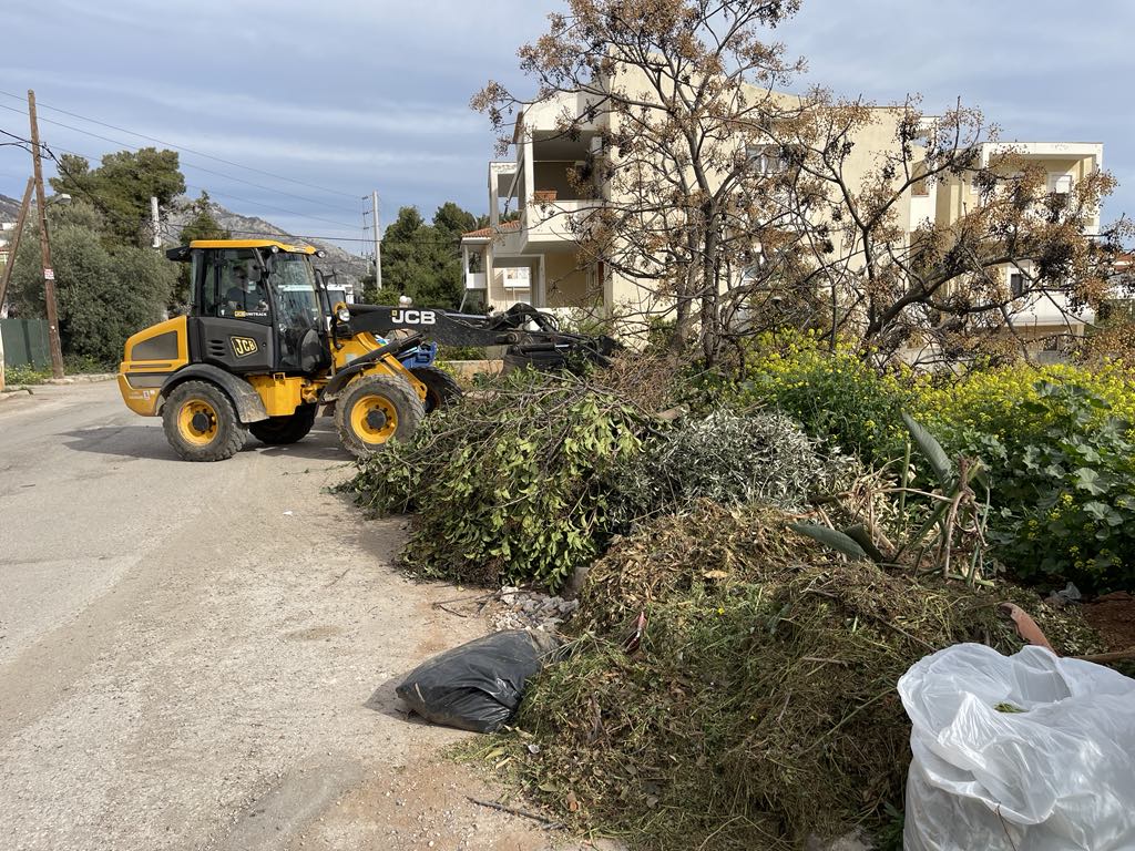 Εντατικές αποκομιδές κλαδιών 17 Μαρτίου 2025 από την Υπηρεσία Καθαριότητας Δήμου Μαραθώνος
