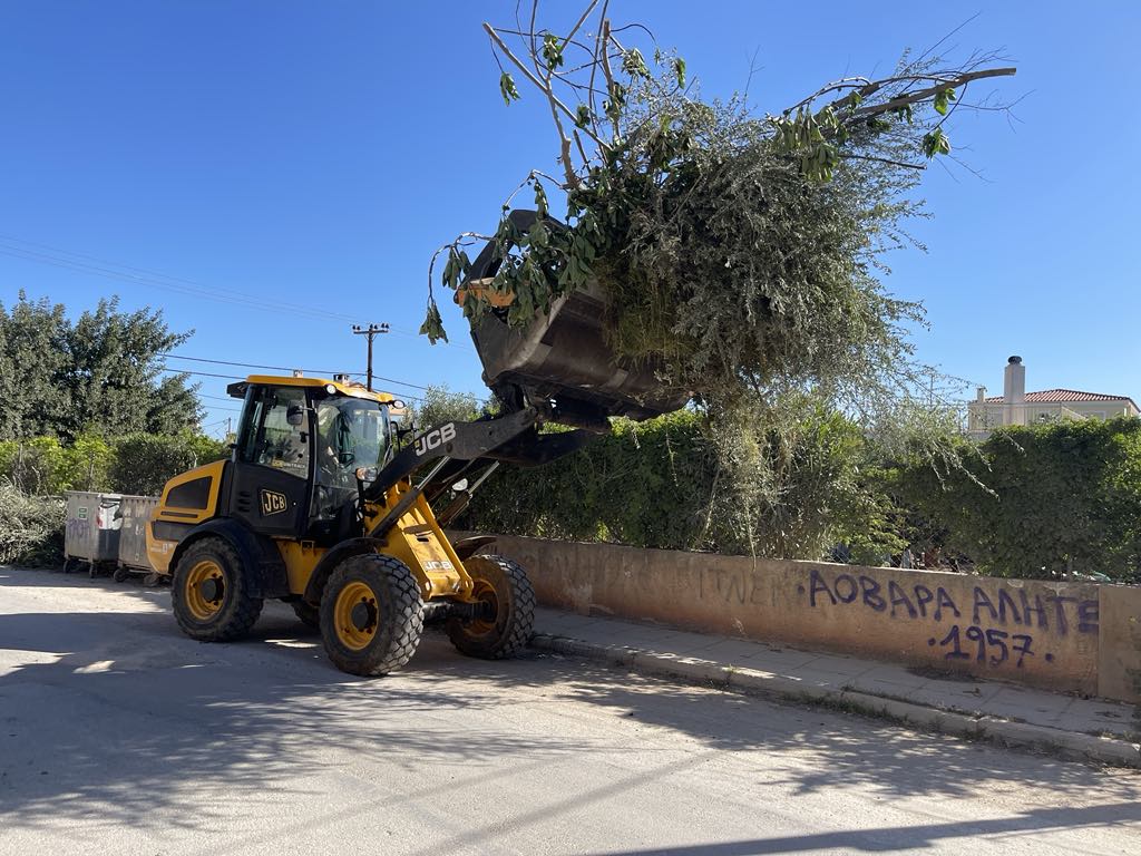 Εντατικές αποκομιδές κλαδιών 17 & 18 Απριλίου 2025 από την Υπηρεσία Καθαριότητας Δήμου Μαραθώνος