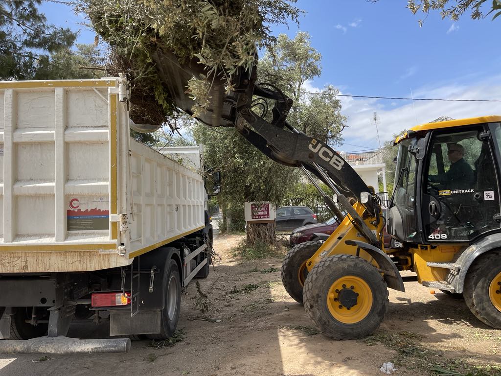 Εντατικές αποκομιδές κλαδιών 29 Απριλίου 2025 από την Υπηρεσία Καθαριότητας Δήμου Μαραθώνος