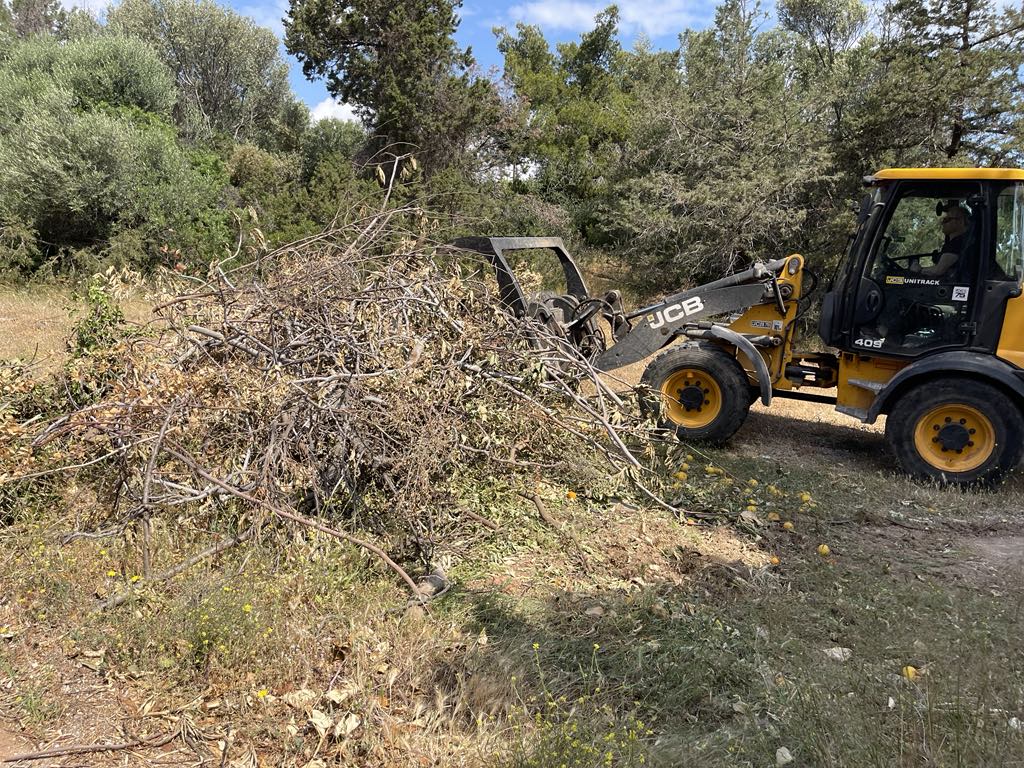Εντατικές αποκομιδές κλαδιών 12 & 13 Μαΐου 2025 από την Υπηρεσία Καθαριότητας Δήμου Μαραθώνος